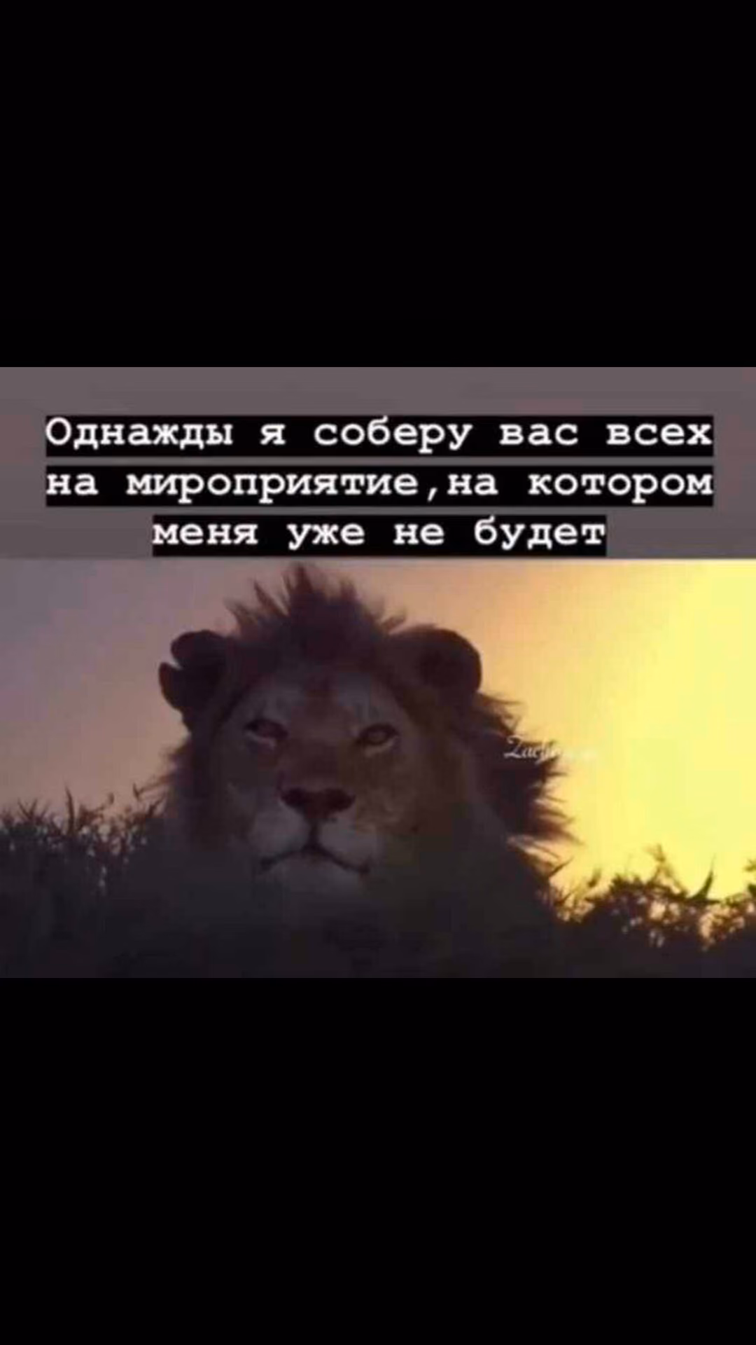 373bd55b0f34d9219b7df6610aa9af01.jpg