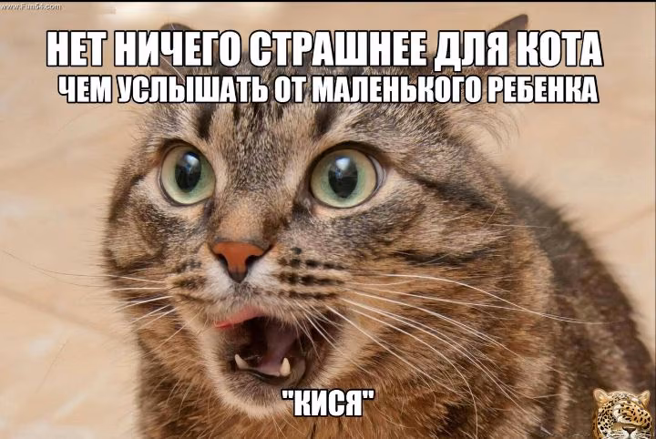 3752ff1a496e1fe3bb777157ef81a6ef.jpg