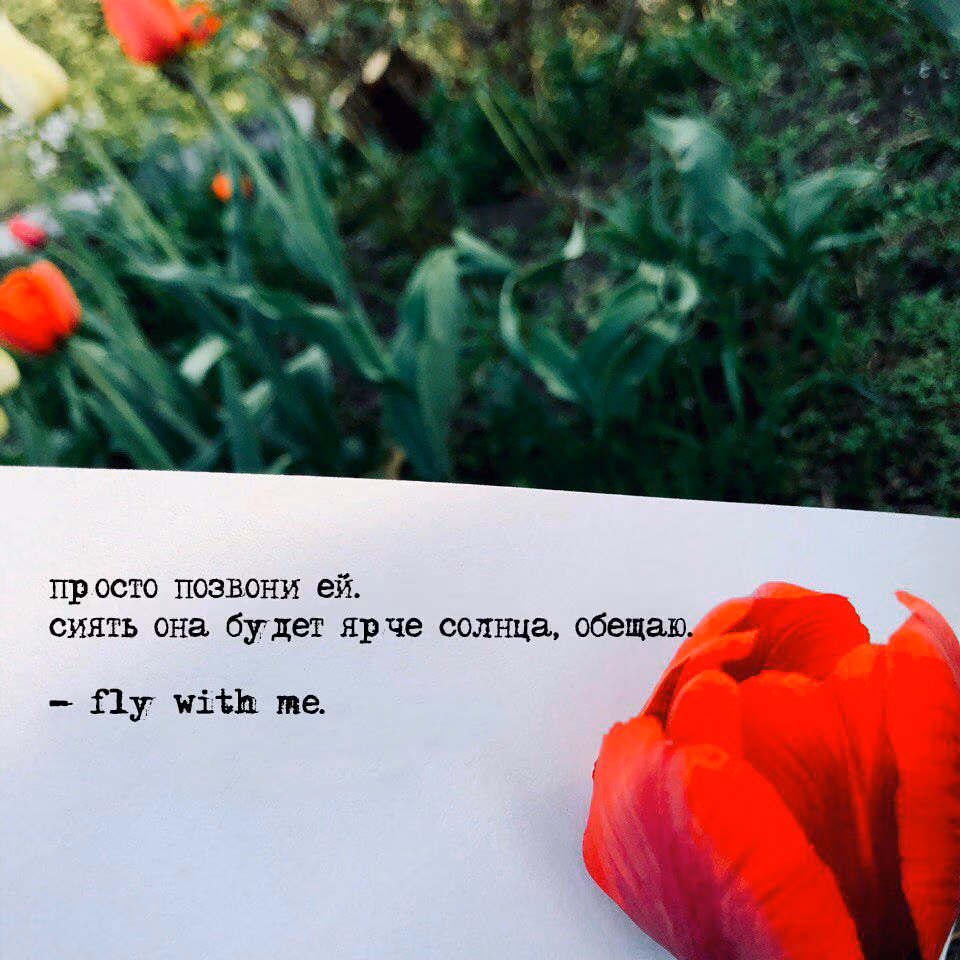 37546525d5a84a2b125ab8a35cfc378a.avif