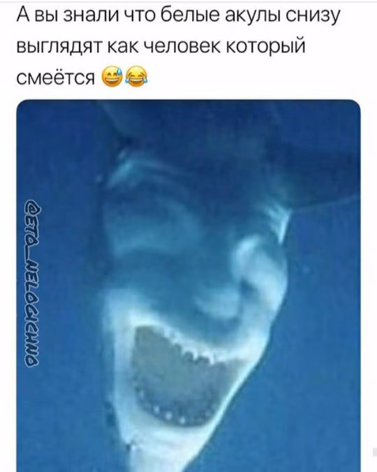 377cb77f24ff12b17208229d2d57ecb8.avif