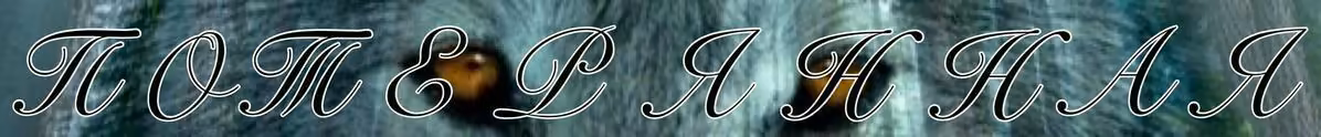 377f80eddc0e3d23e032ea08e871867a.avif