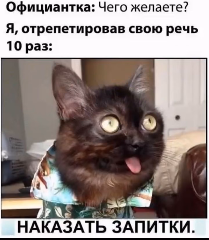 379127607081f37be061ab178d6820bf.avif