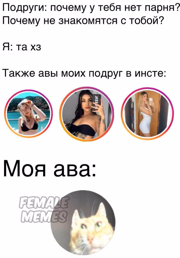 3794c88568adcc77e3182f0fae922446.avif