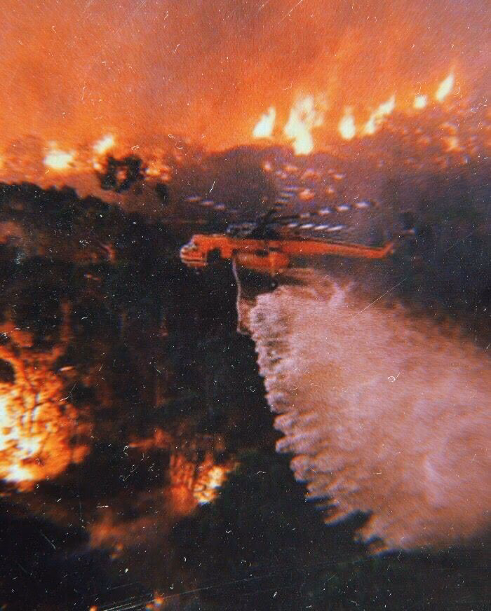 37971bf83351ff7fe4dabb222864218e.avif
