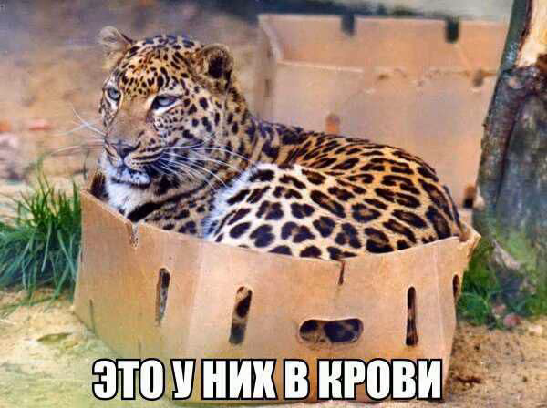 37a51736a2ba6d0a6d3740b5476416fd.avif