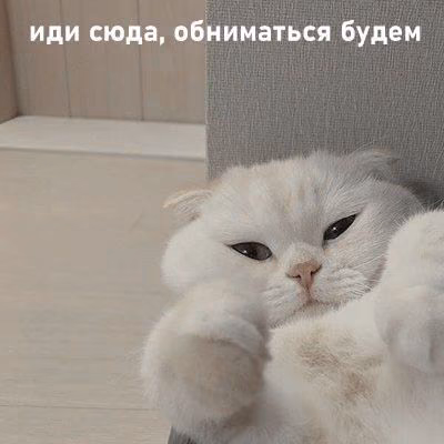 37aa444118472426b47511f240204115.avif