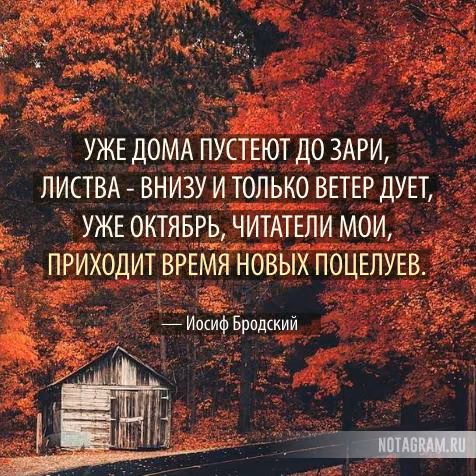 37ced9db8a251c5b5af9a86fc352166e.jpg