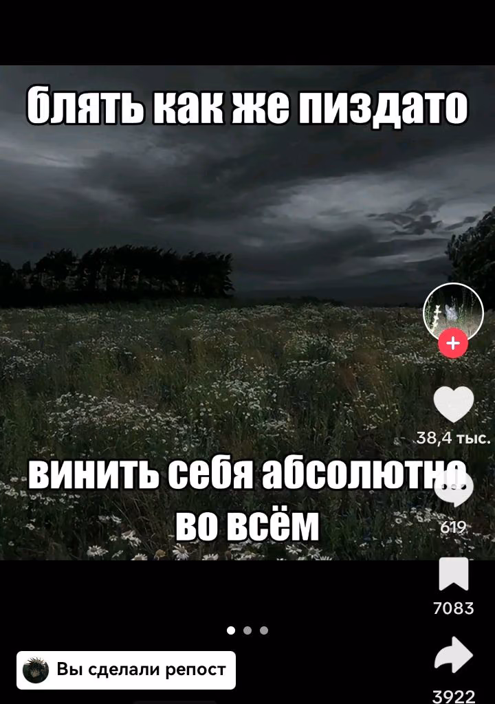 37d47b8b4f263d4da2560030bf1f400b.avif