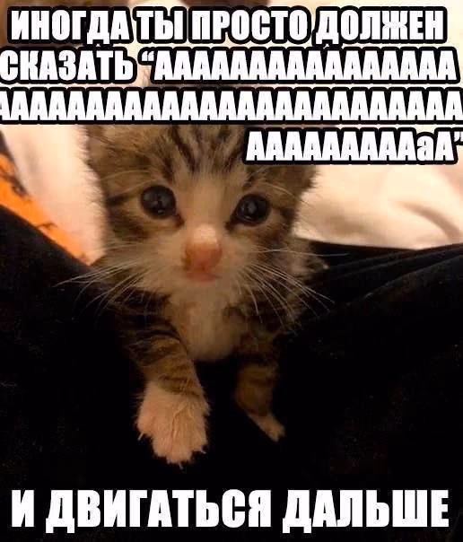 37d816f78eea7f8e8198bb3520fbec7c.jpg