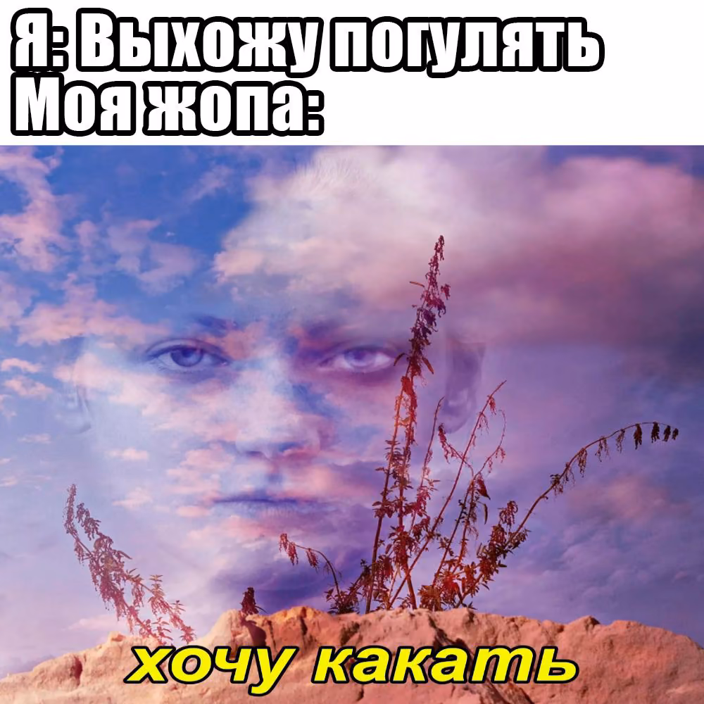 37e3ce65c2b7751f3e1dc5d740b47671.avif