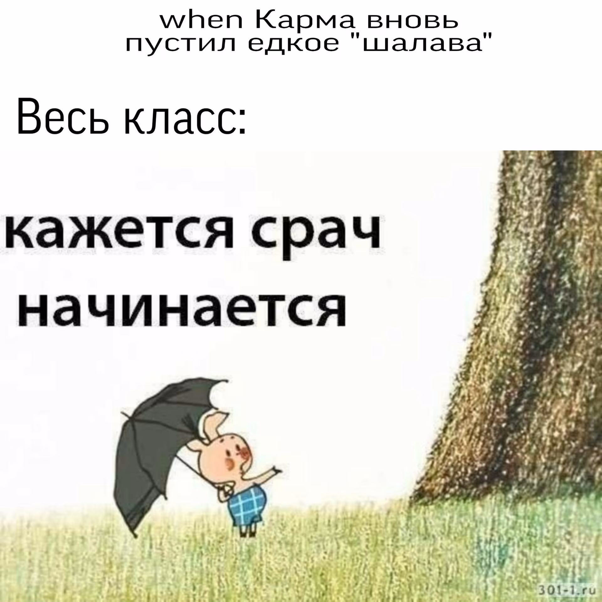 37e77588eaf98f8076cd70e546f95756.avif