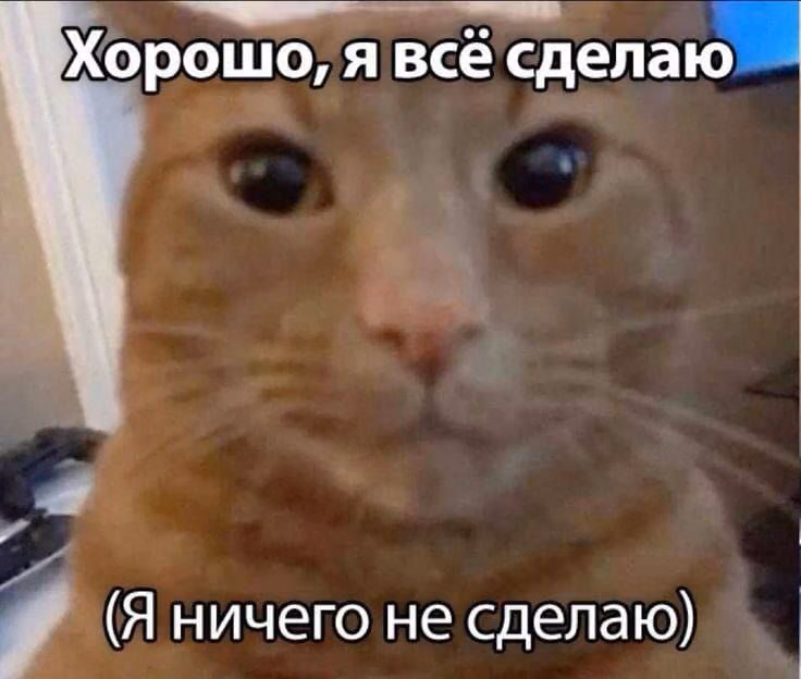 37ea8f6b540b504f4027a643e64f020e.jpg