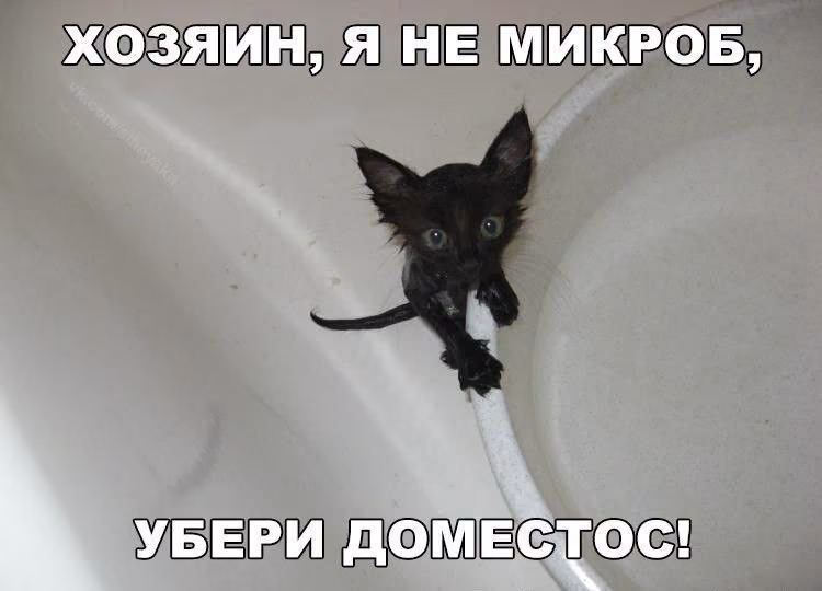 37efeab5aa2f59fba1a2c6f33fa64fb2.jpg