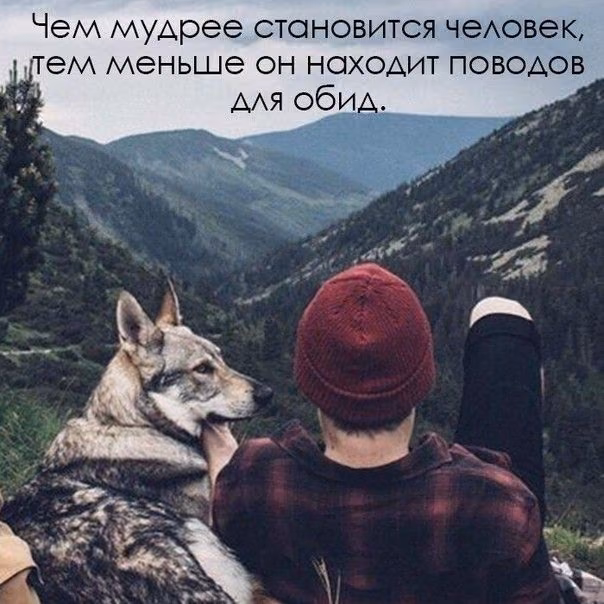 3805030fda4e25ff69f48a486809124c.jpg