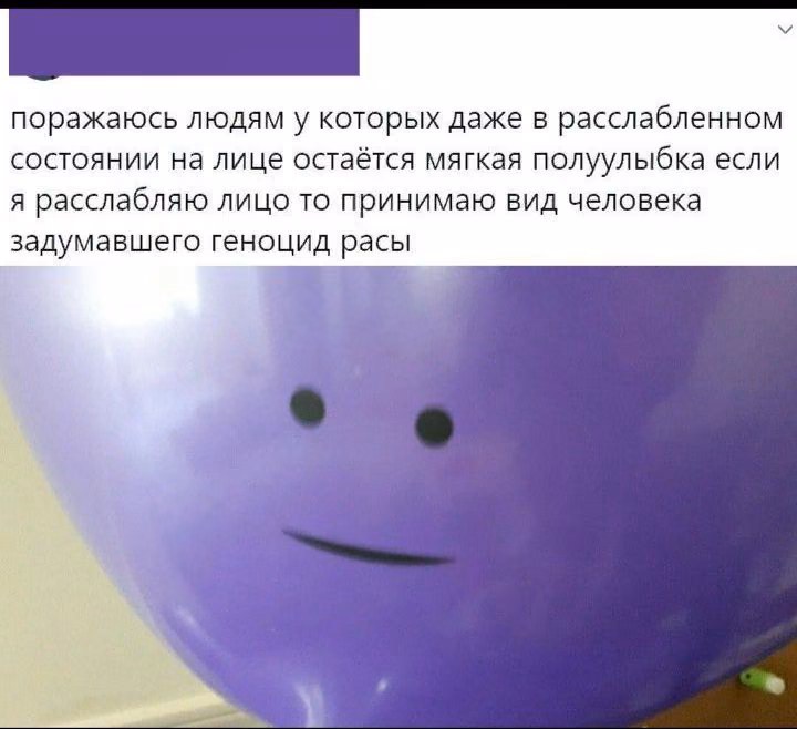 3806327a4f7a87a92238c4a534d2799f.avif