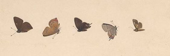 3809db3293d0e0ba52e93ec5b19dab22.avif