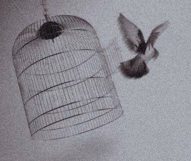 381c47ca292004ce7f1548a73c6297be.avif