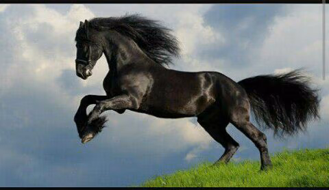 38282f9ee62c2c42bb050ff4c80cdfa8.avif
