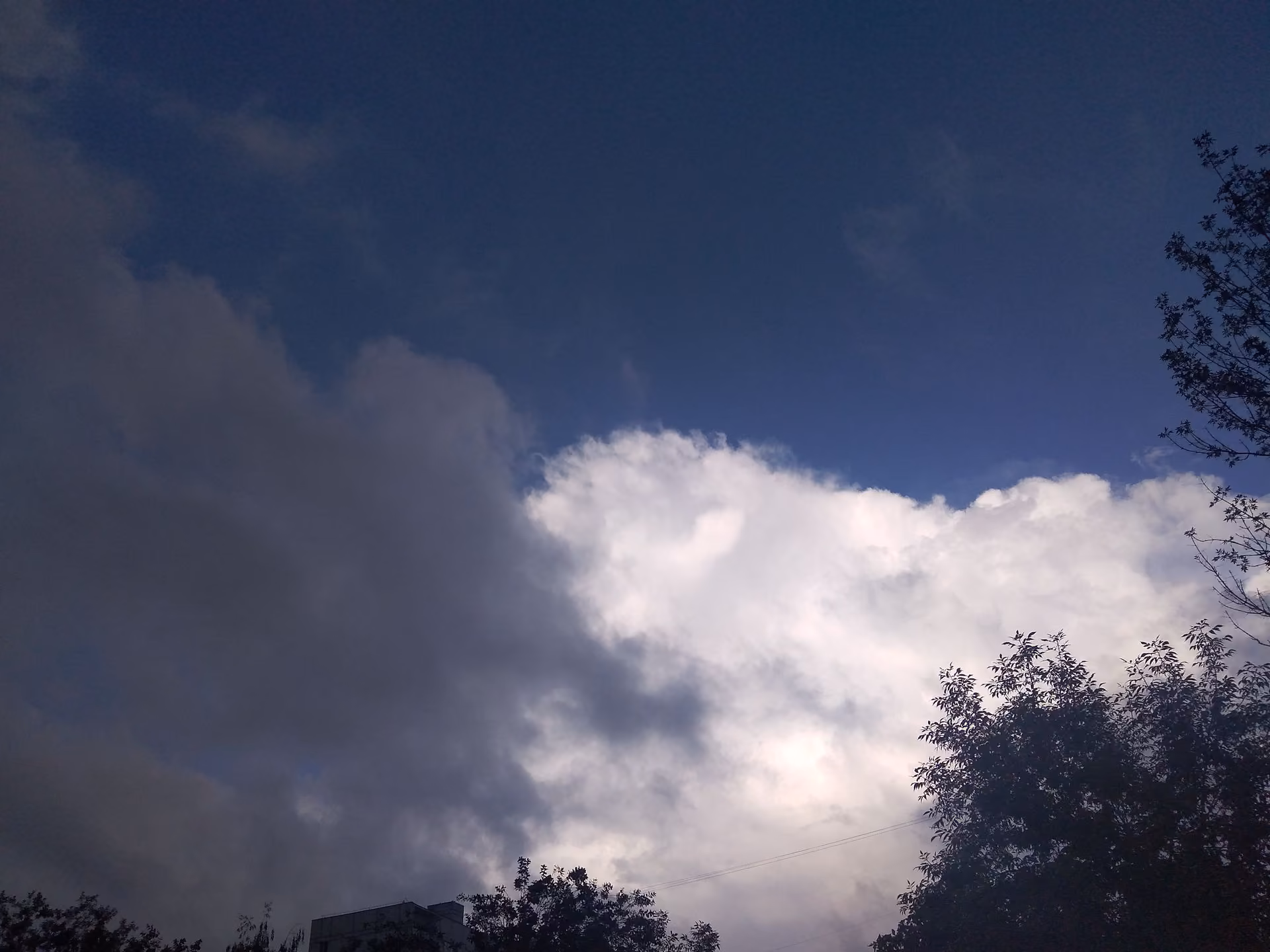 3835402465c11351d13d8bba4ccbac30.avif