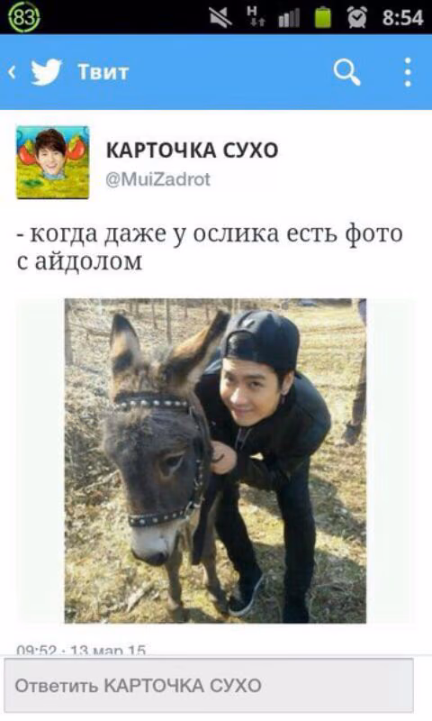 3839ed81f0dc5ddaa916677f964c72e0.avif