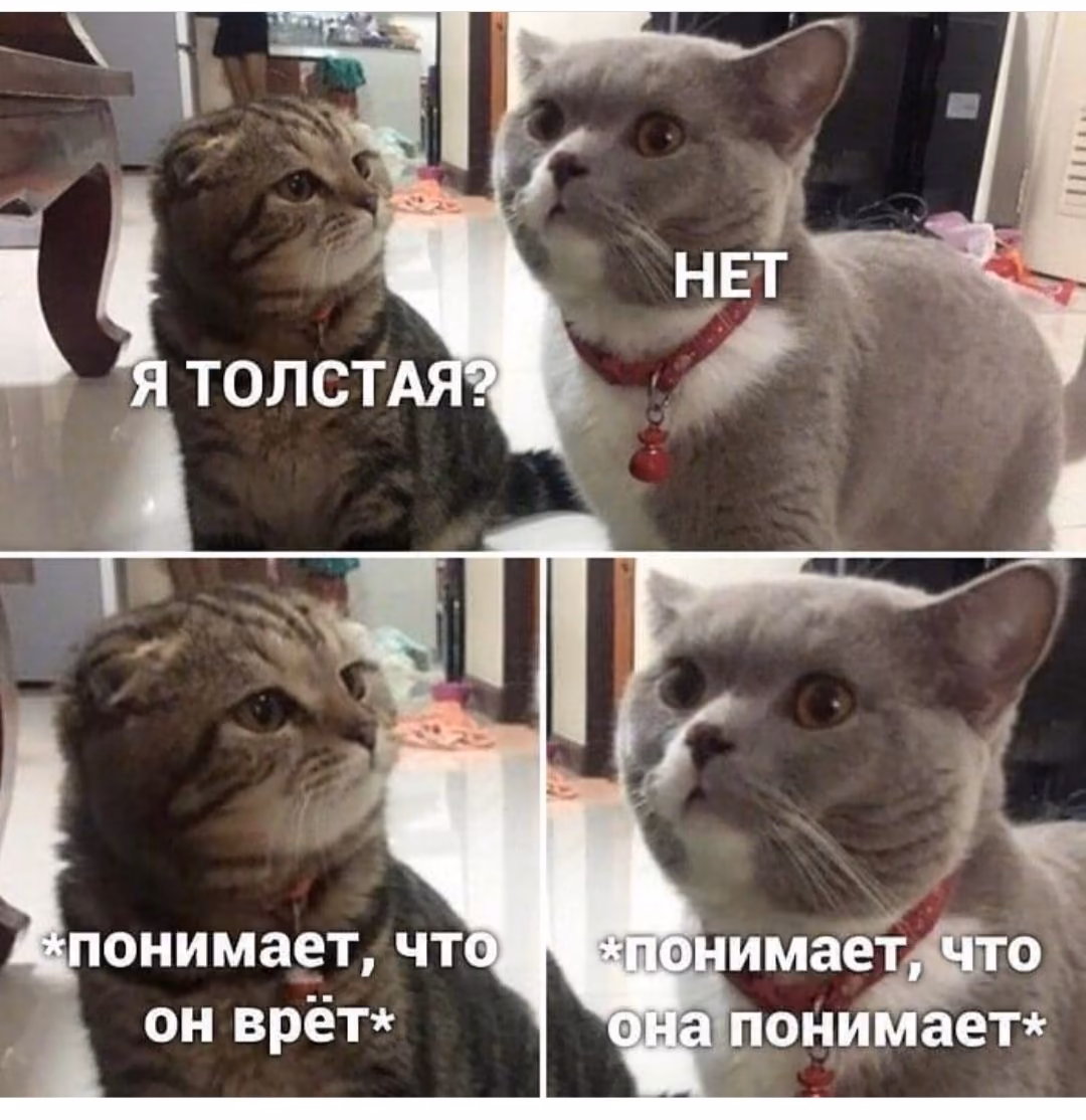 384af9a2c11197026274f9e14a819bea.avif