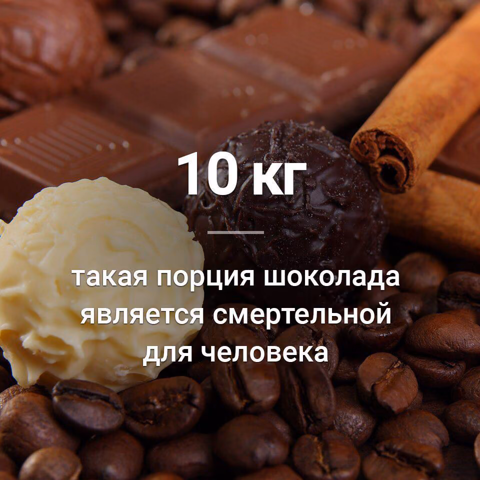 38527b686779acc3206d67c863810cdd.jpg