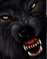 3859fbe078968736b5af9d4bbe375ca0.avif