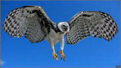 385f990baddc31f372c0580bebf1b8cf.avif