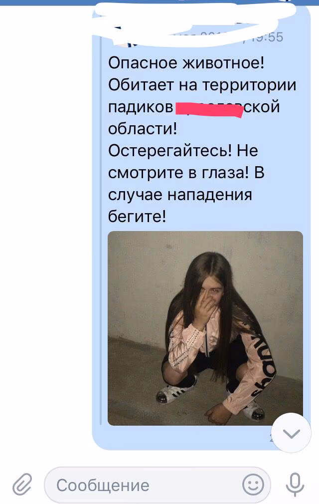 38757ea231f0b04b85c8e84f67c0d385.jpg