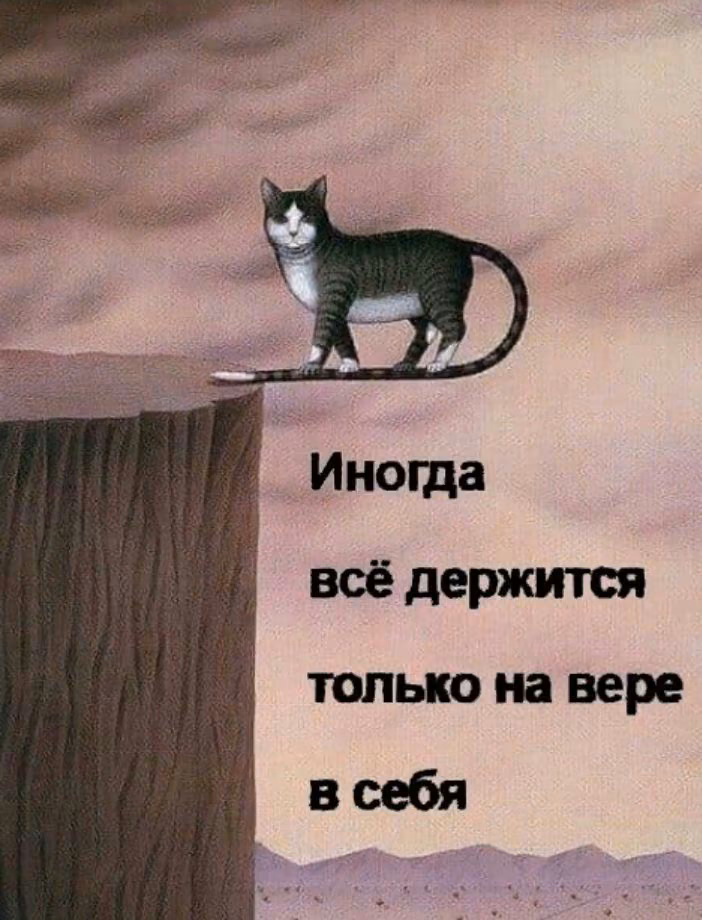38796e6658204bdf31b663673ae0a732.jpg