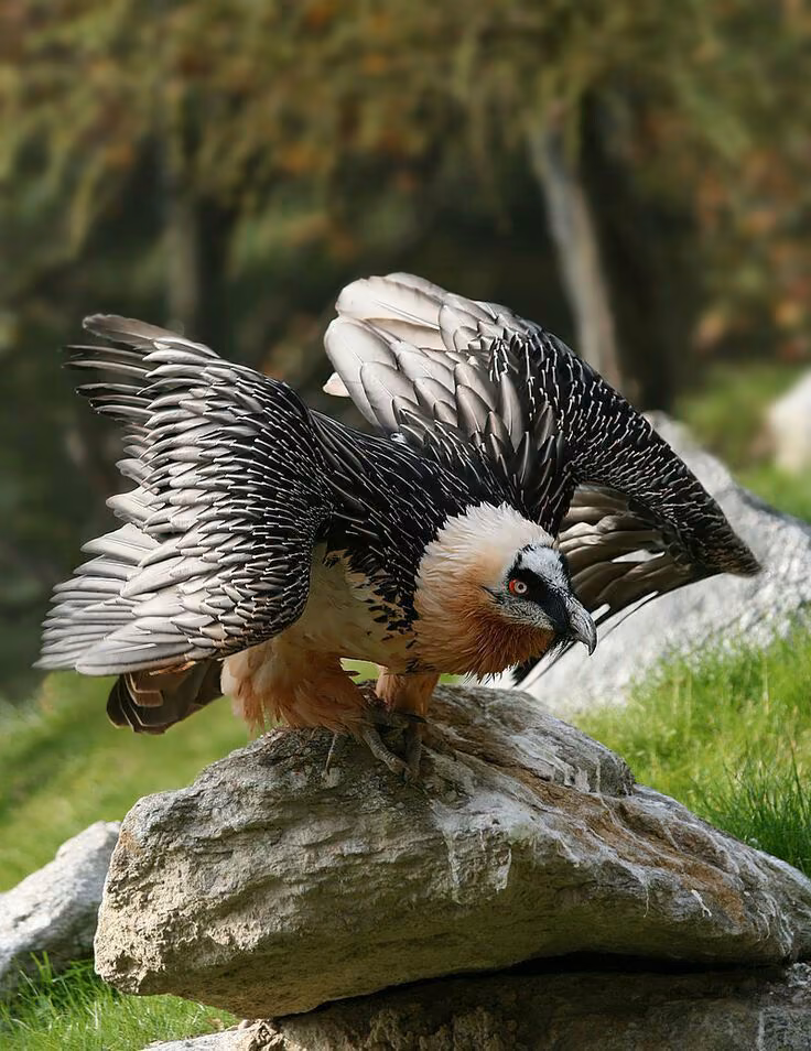 38816f016aa7e208bbd2173f3b01683c.avif