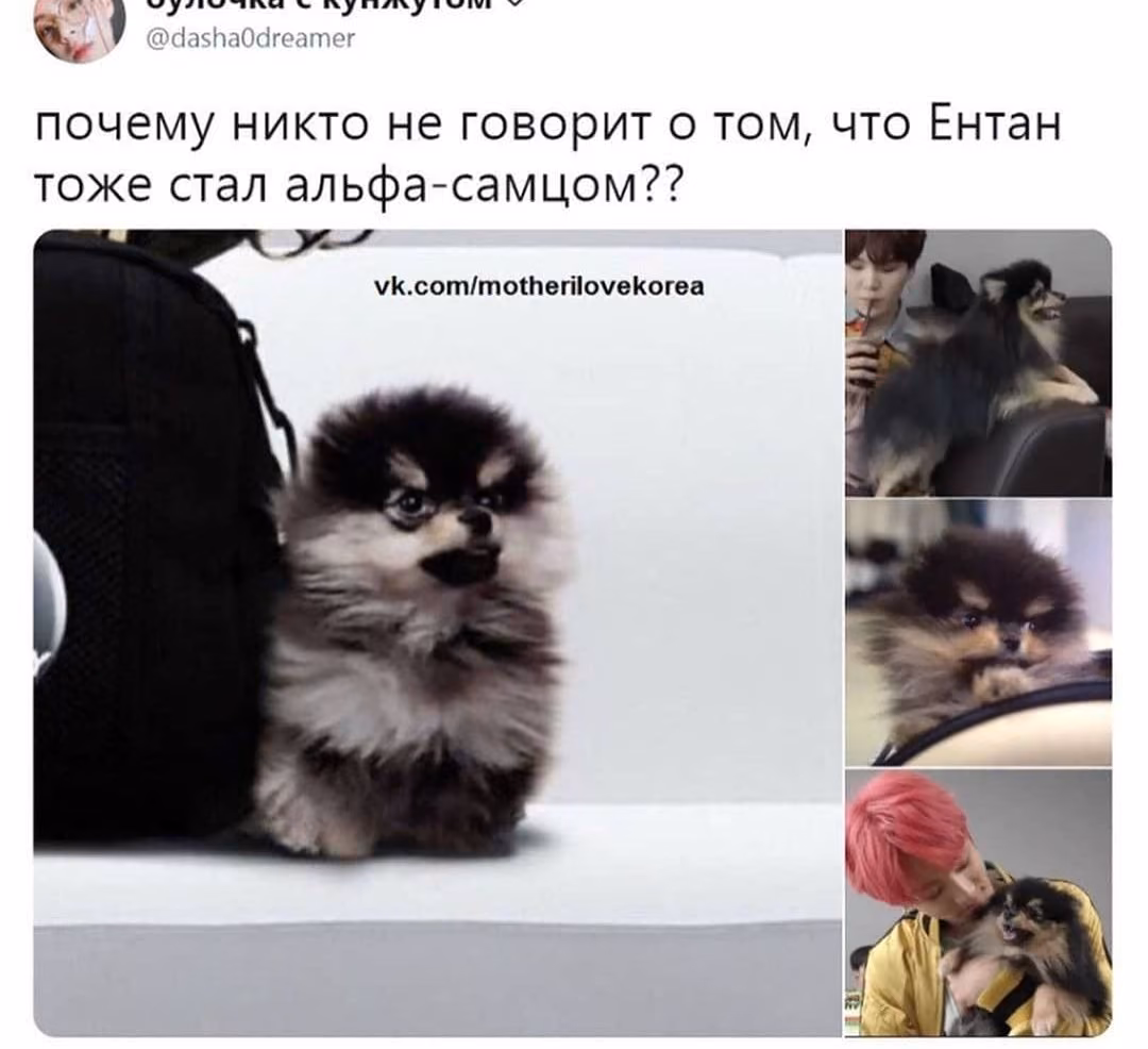 3882c6580d0d84cf8b9ce655ea4a6d90.avif