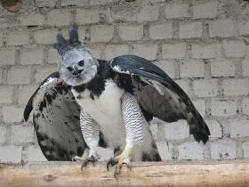 38a433ef82b8a4d4d37454f036455013.avif