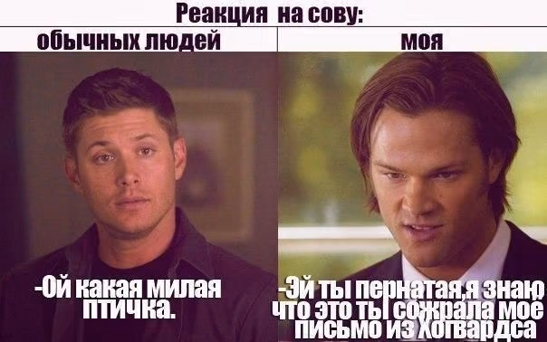 38bc400a2192246cd4ec1b70914e52f4.avif