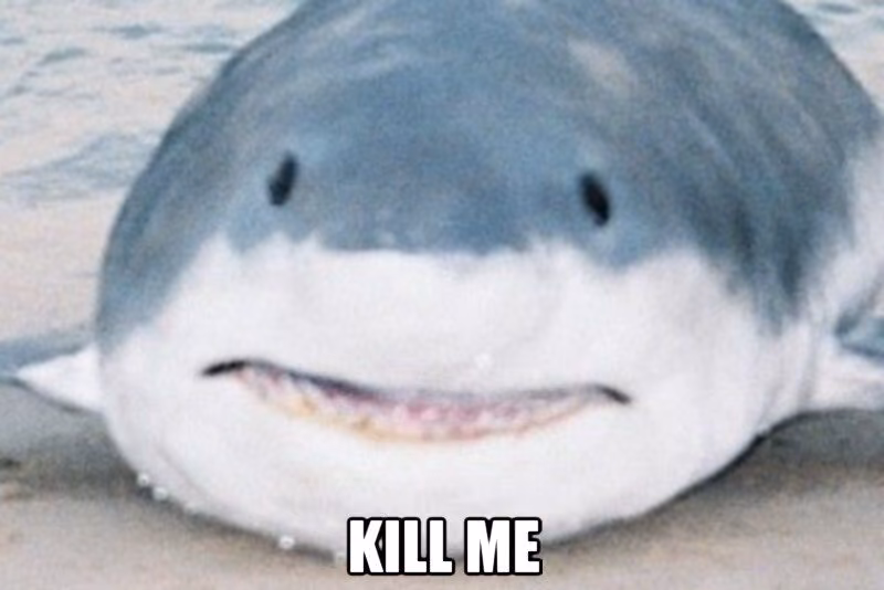 38be72dba832c1f272d07df5e1ae5b0d.jpg