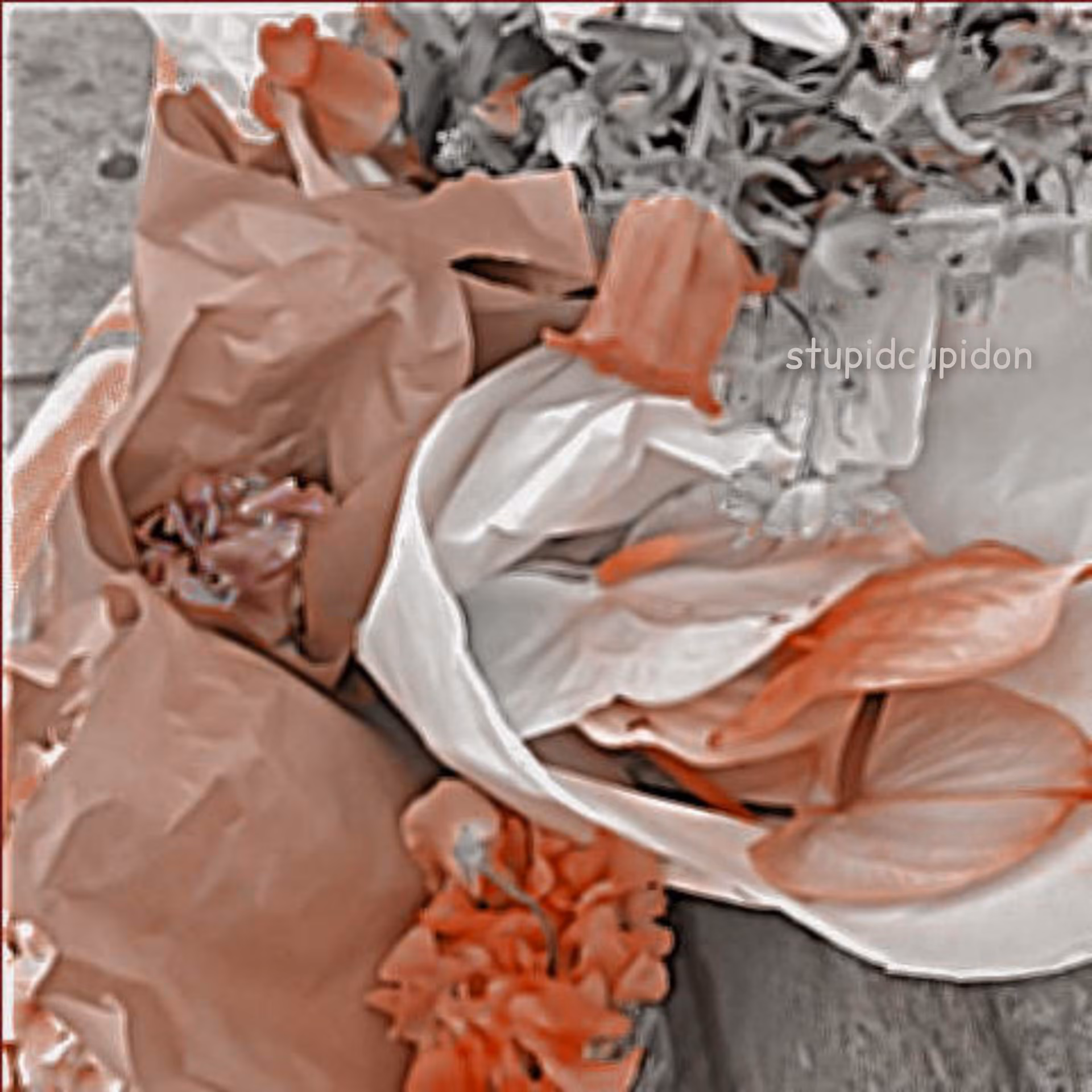 38c3bd6eeb3a215c027025fca8938aaa.jpg