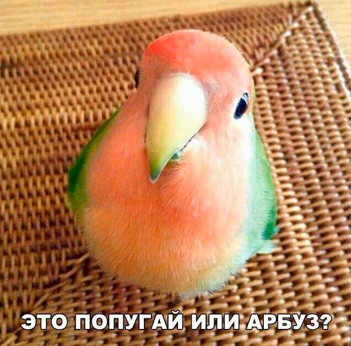 38c46af03944e596dbd5115fdae60550.avif