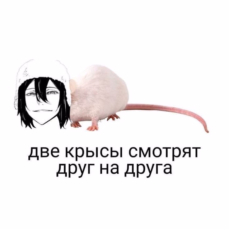 38da2eeb19d6e60e9b1229641375d342.avif
