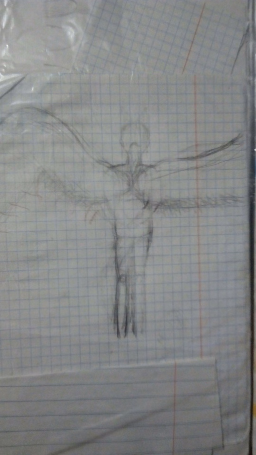 38eca4e24085a692d15c2ed4f4099e12.avif
