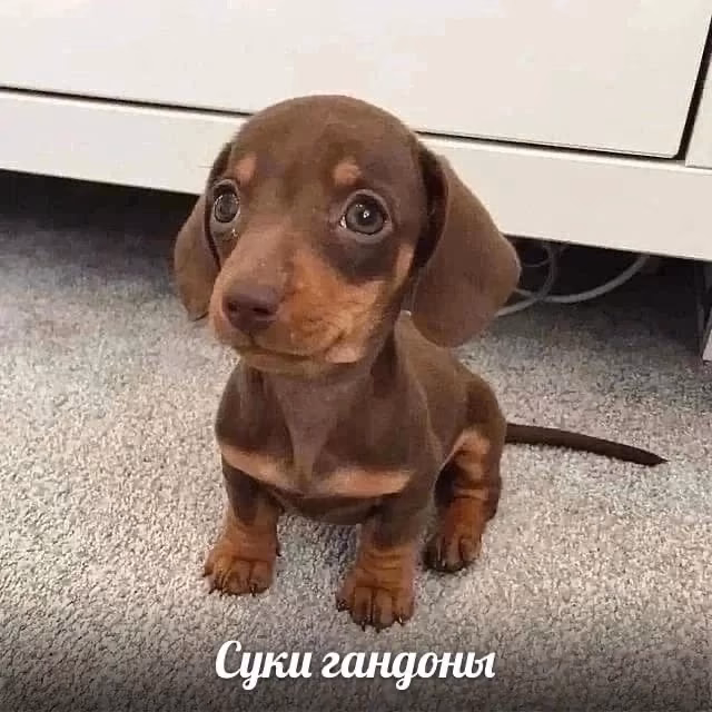 38ef9b7c62d8ed0ee4a88df5f1a37e30.jpg