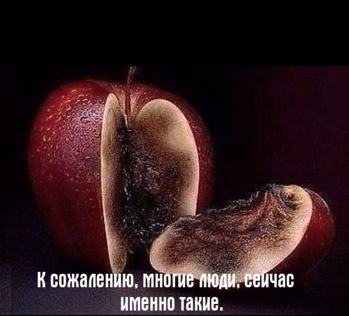 38efe10d977f82c2a984de55512a434b.jpg