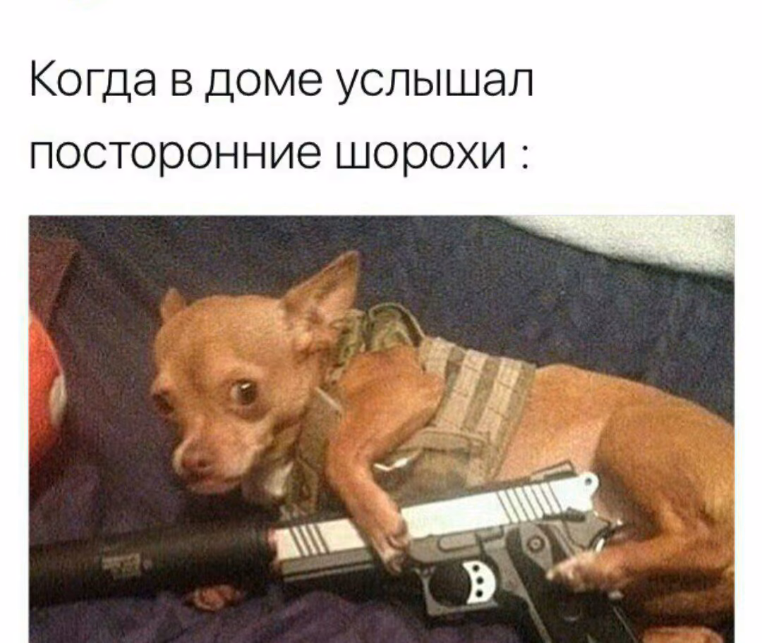 38f34f1629c5884ad1c26d4d60d84876.avif