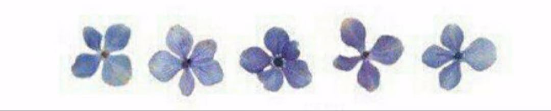 38fe9db6fb285aab9fd6810906274761.jpg