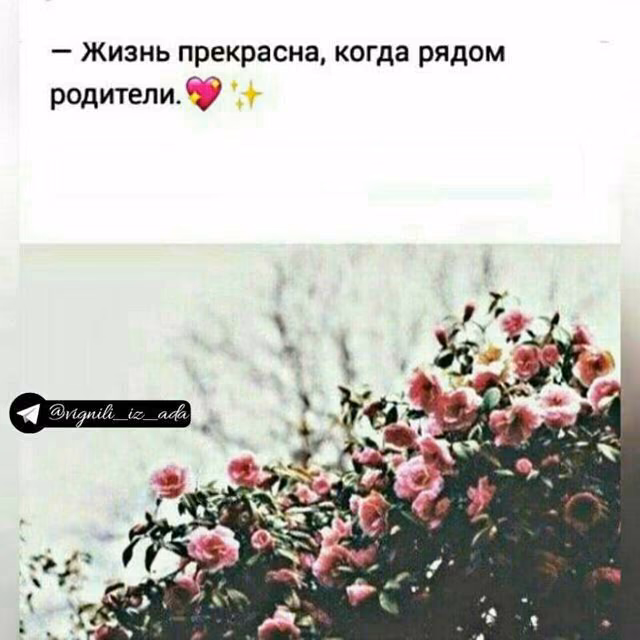 38ff54a70000a305db8b1e486dd34ec8.jpg