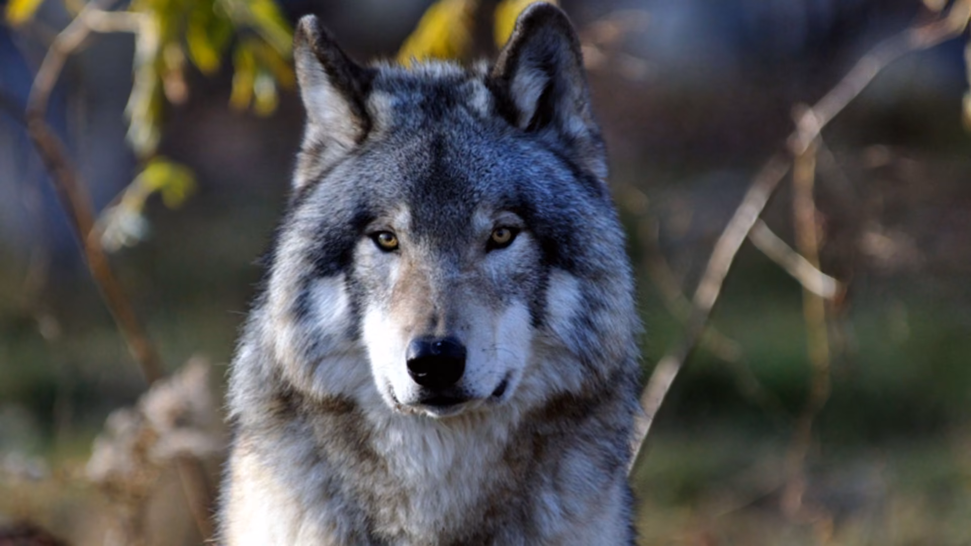 3905feecec476c66a9a49f63998e115d.avif