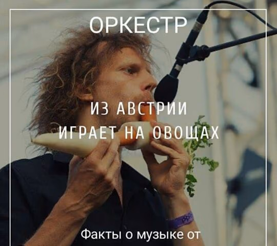 39111f95c88c3e35848ac0d66ccfcf13.jpg