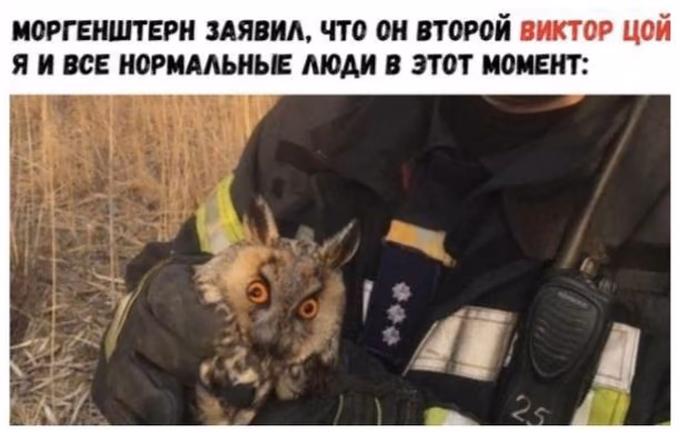 39203dca2b25f5b3d3dc0e4f03efcece.avif