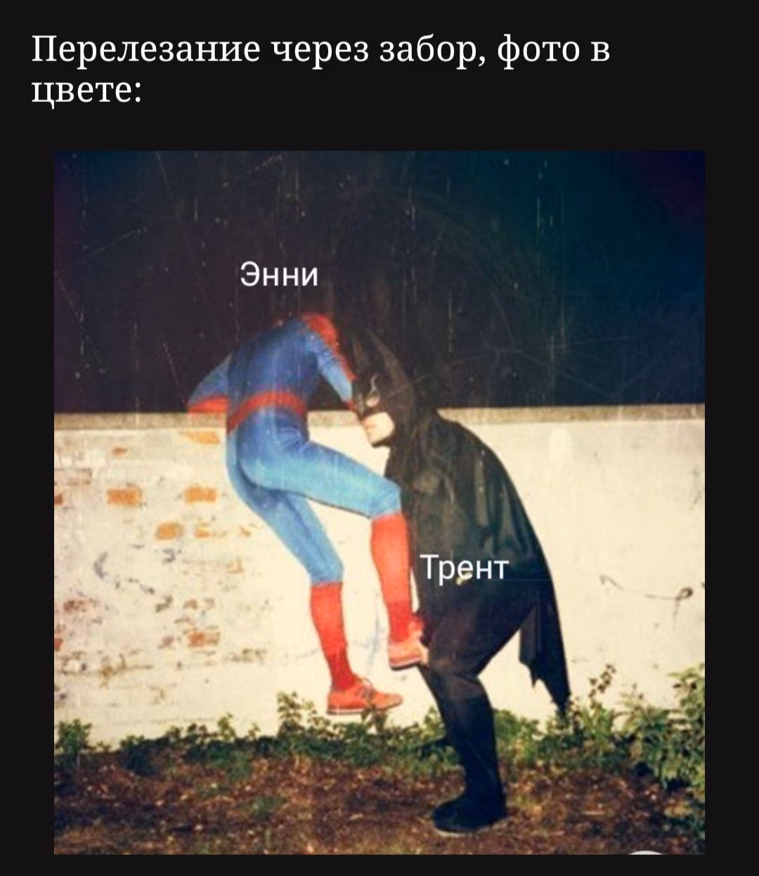 39232b4054f6bfe237fe5f44f71d911c.avif