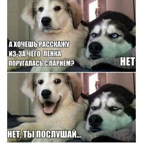 392b9a482180b030a81a4d921e9728c2.jpg