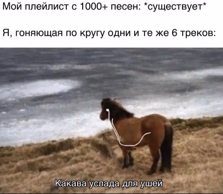 393ce1bb8417a9cf6537bd15dcc46f76.avif